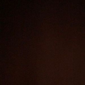 Meet your Posher, Ty